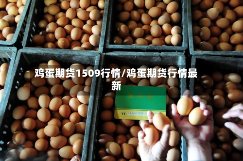 鸡蛋期货1509行情/鸡蛋期货行情最新