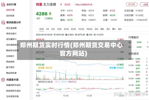 郑州期货实时行情(郑州期货交易中心官方网站)