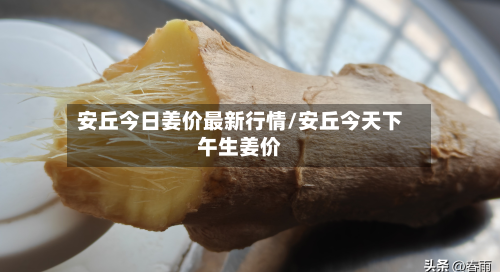 安丘今日姜价最新行情/安丘今天下午生姜价-第3张图片