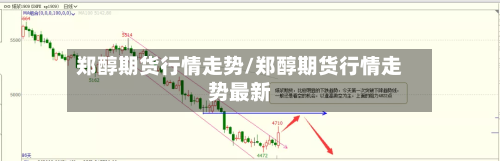 郑醇期货行情走势/郑醇期货行情走势最新-第3张图片