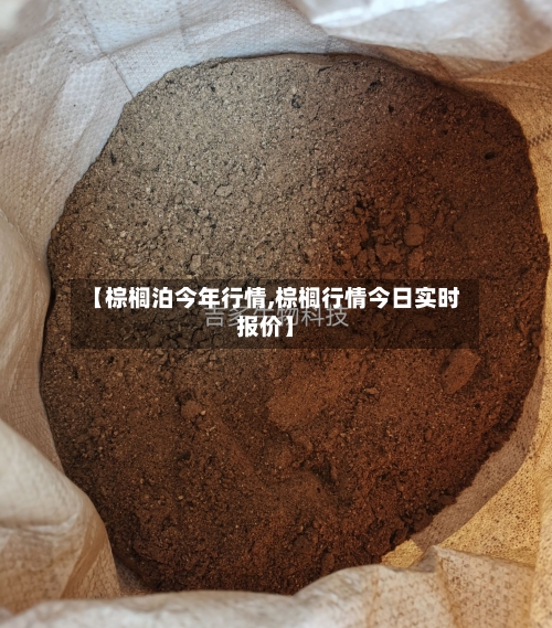 【棕榈泊今年行情,棕榈行情今日实时报价】
