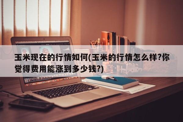 玉米现在的行情如何(玉米的行情怎么样?你觉得费用能涨到多少钱?)