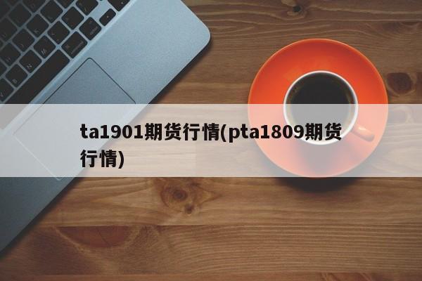 ta1901期货行情(pta1809期货行情)