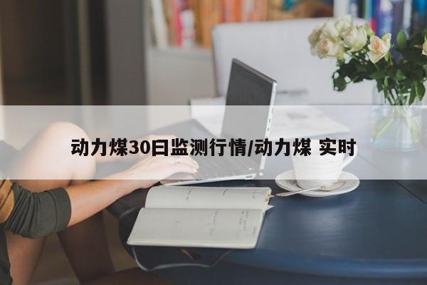 动力煤30曰监测行情/动力煤 实时