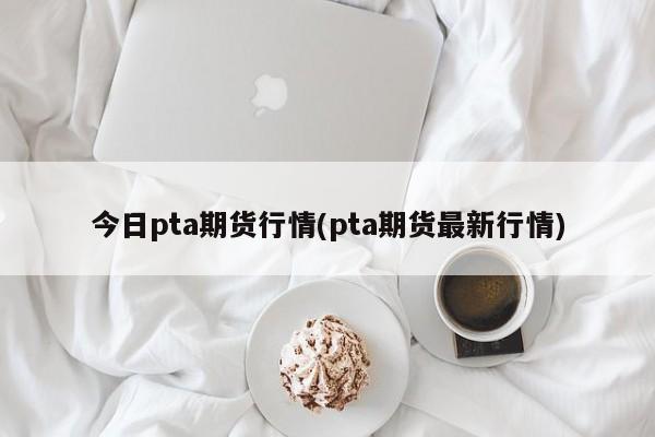 今日pta期货行情(pta期货最新行情)