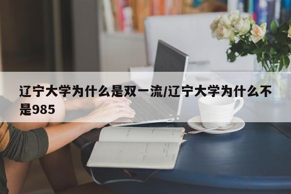 辽宁大学为什么是双一流/辽宁大学为什么不是985