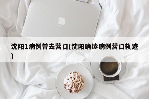 沈阳1病例曾去营口(沈阳确诊病例营口轨迹)