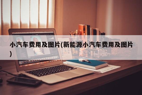 小汽车费用及图片(新能源小汽车费用及图片)