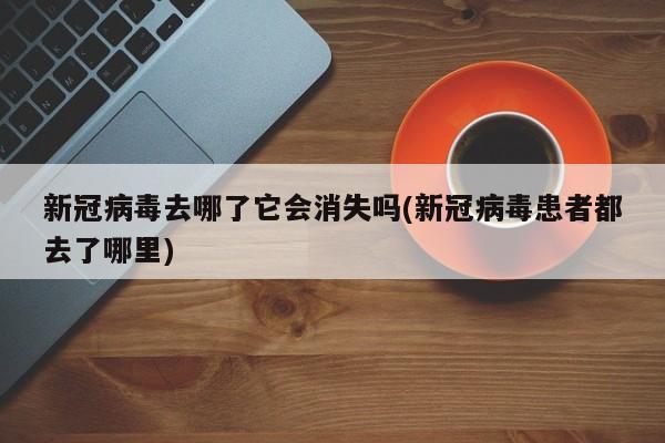 新冠病毒去哪了它会消失吗(新冠病毒患者都去了哪里)