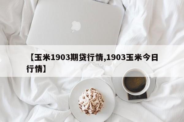 【玉米1903期贷行情,1903玉米今日行情】