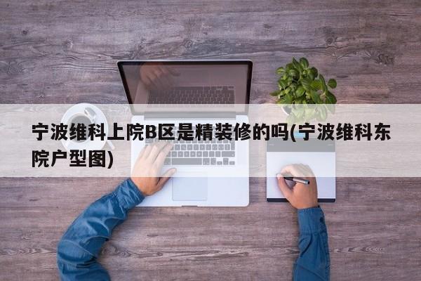 宁波维科上院B区是精装修的吗(宁波维科东院户型图)