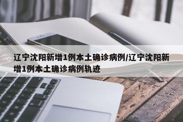 辽宁沈阳新增1例本土确诊病例/辽宁沈阳新增1例本土确诊病例轨迹