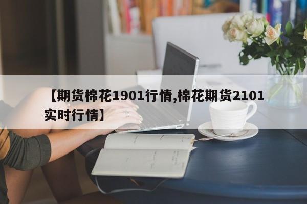 【期货棉花1901行情,棉花期货2101实时行情】