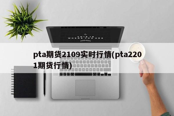 pta期货2109实时行情(pta2201期货行情)