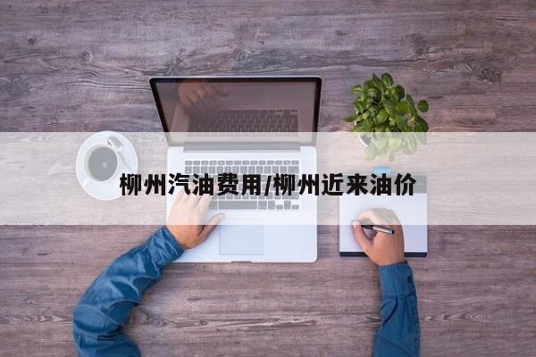 柳州汽油费用/柳州近来油价