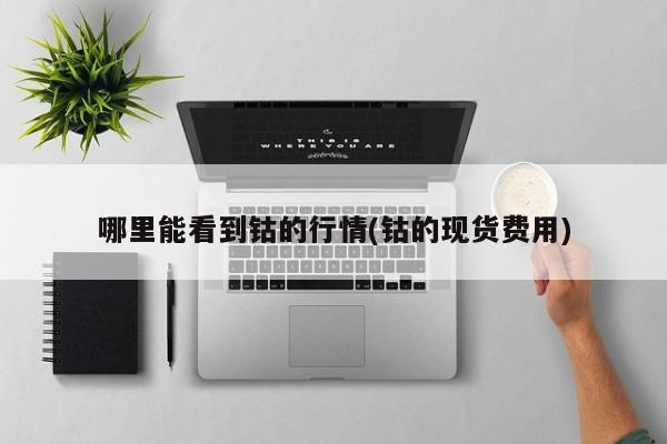 哪里能看到钴的行情(钴的现货费用)