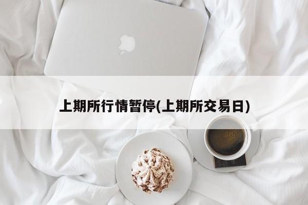上期所行情暂停(上期所交易日)