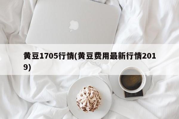 黄豆1705行情(黄豆费用最新行情2019)