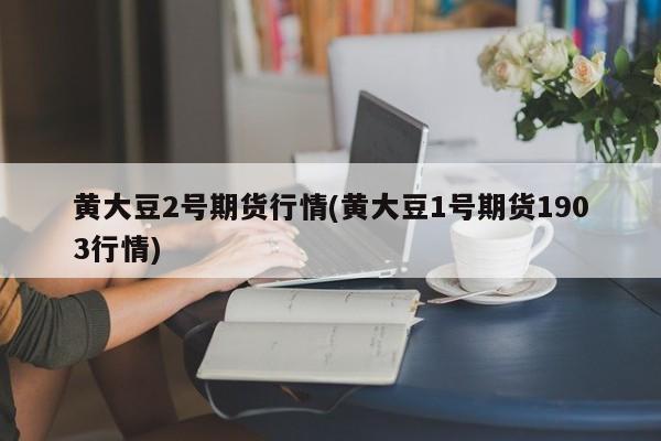 黄大豆2号期货行情(黄大豆1号期货1903行情)