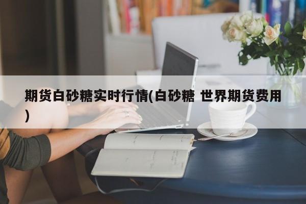 期货白砂糖实时行情(白砂糖 世界期货费用)