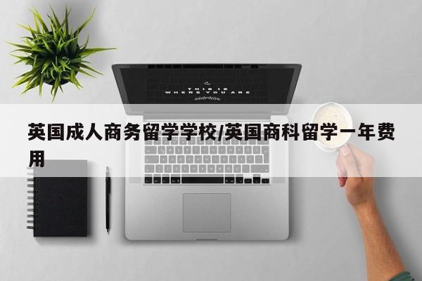 英国成人商务留学学校/英国商科留学一年费用
