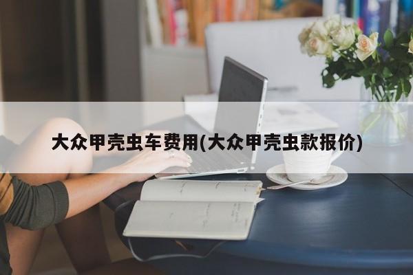 大众甲壳虫车费用(大众甲壳虫款报价)