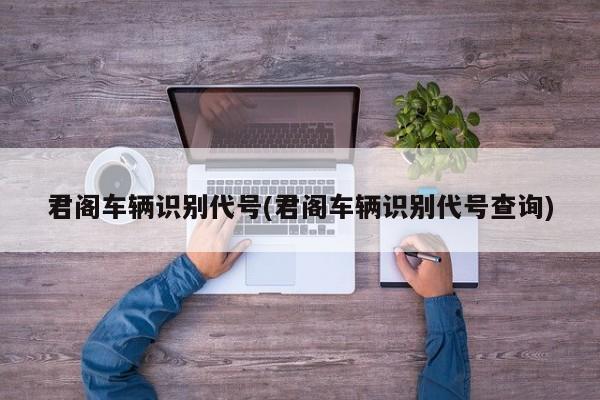 君阁车辆识别代号(君阁车辆识别代号查询)