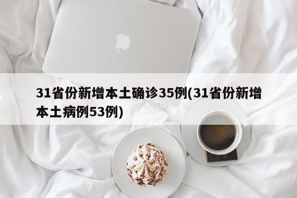 31省份新增本土确诊35例(31省份新增本土病例53例)