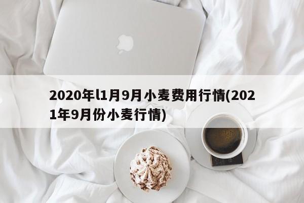 2020年l1月9月小麦费用行情(2021年9月份小麦行情)