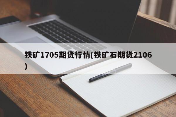 铁矿1705期货行情(铁矿石期货2106)