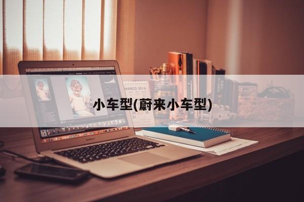 小车型(蔚来小车型)